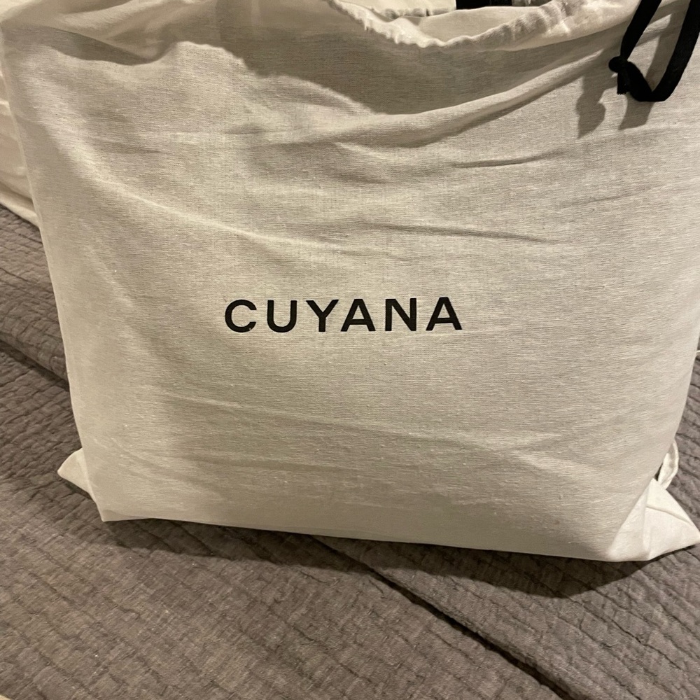 Cuyana Classic Structured Tote. New